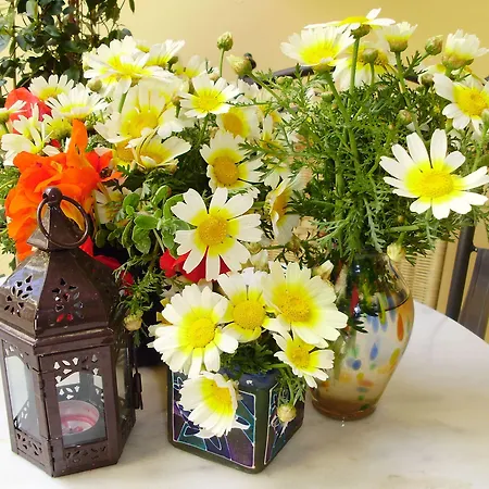 Maison d'hôtes Madonna La Canée