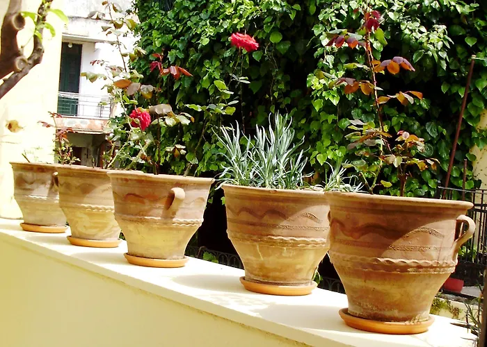 Madonna Гостьовий будинок