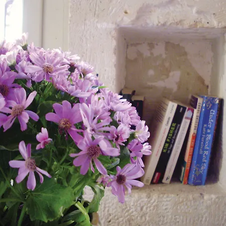 Guest house Madonna 4*